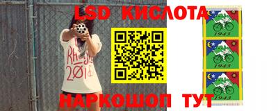 прущие грибы Волгодонск