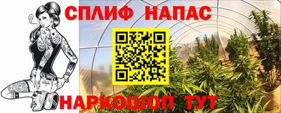 каннабис Волжский