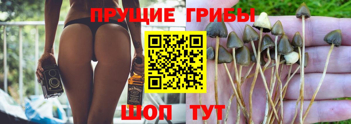Галлюциногенные грибы MAGIC MUSHROOMS Муром